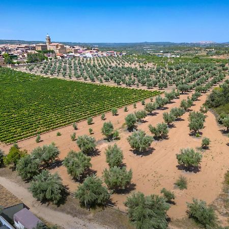 Hotel & Resort Vilar Rural D'Arnes By Serhs Hotels Sant Carlos de la Ràpita Esterno foto
