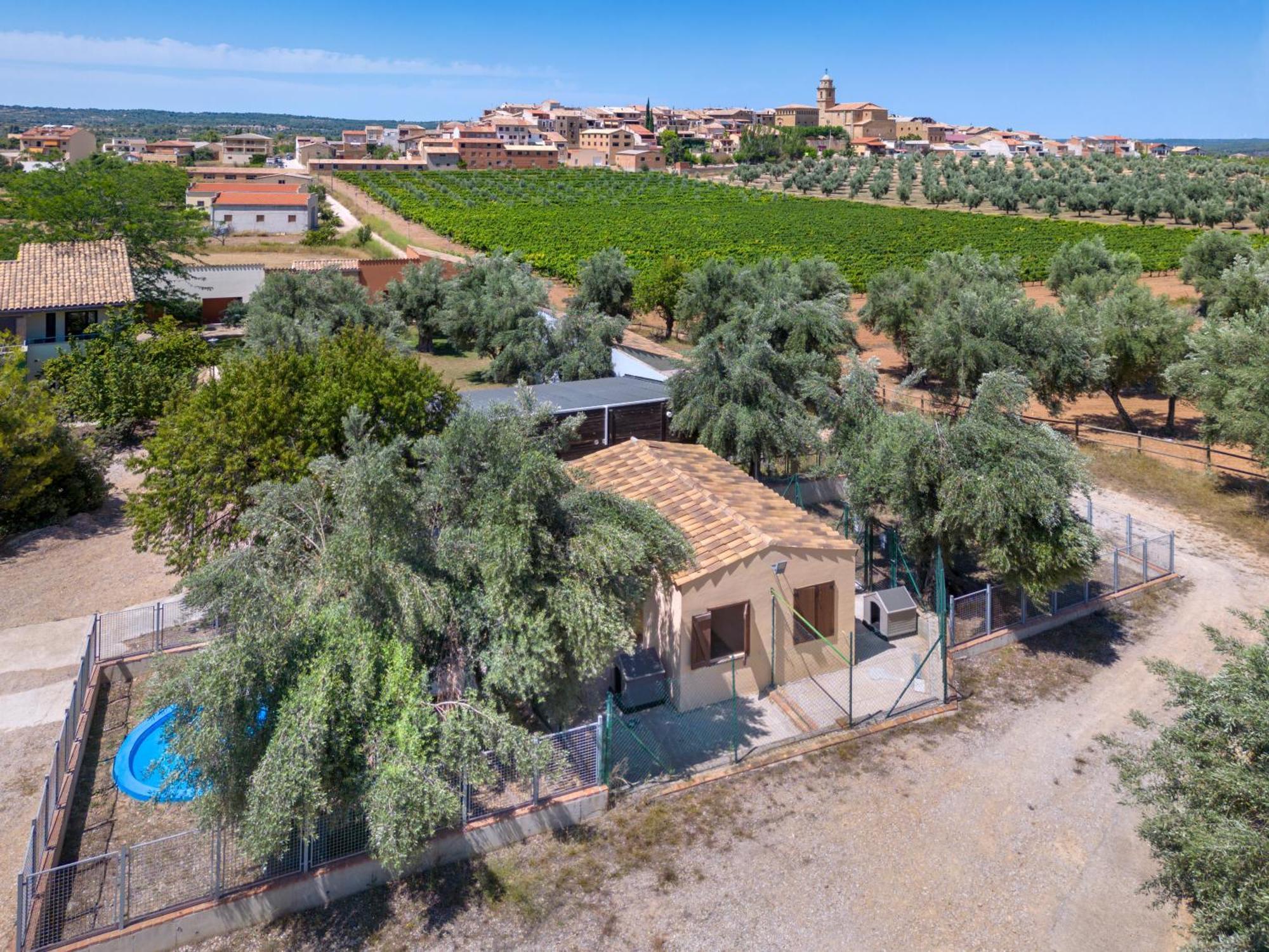 Hotel & Resort Vilar Rural D'Arnes By Serhs Hotels Sant Carlos de la Ràpita Esterno foto