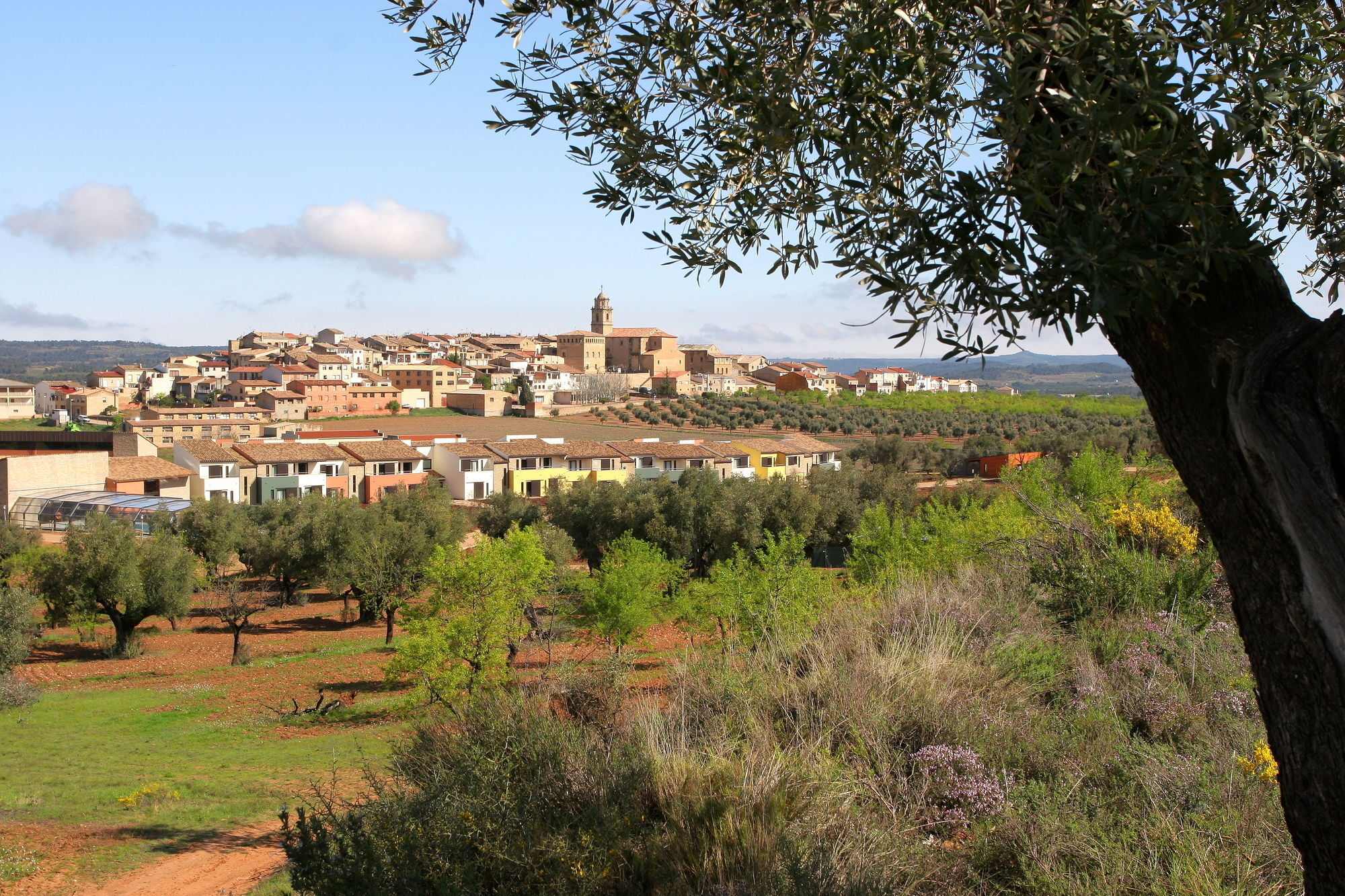 Hotel & Resort Vilar Rural D'Arnes By Serhs Hotels Sant Carlos de la Ràpita Esterno foto